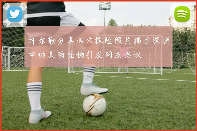 许尔勒分享洞穴探险照片揭示深渊中的美丽怪物引发网友热议