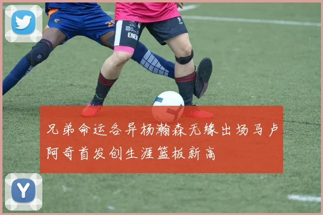 兄弟命运各异杨瀚森无缘出场马卢阿奇首发创生涯篮板新高